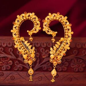 Stylish Fusion Gold Plated Earrings